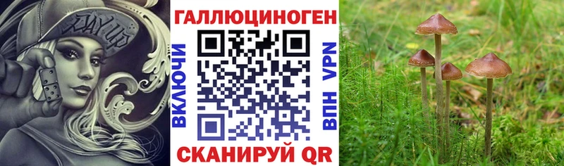 Галлюциногенные грибы Psilocybe Евпатория